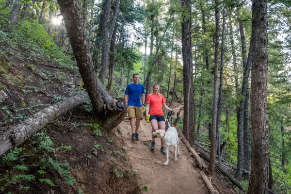 Hiking | Aspen